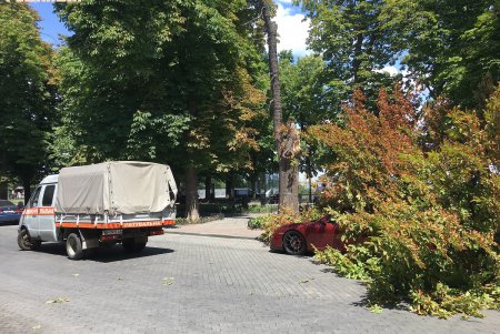 Крупная ветка упала на Porsche на Приморском бульваре (фото)