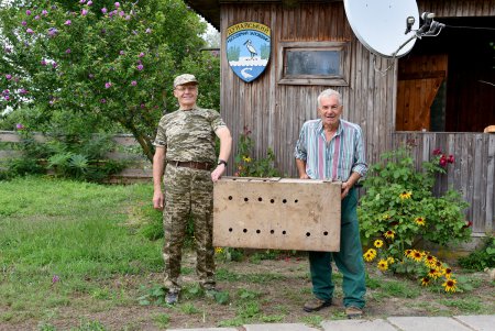 В Дунайском заповеднике поселили первого птенца краснокнижного филина для создания новой популяции (фото)