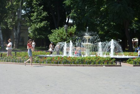 В центре Одессы больше не эксплуатируют животных (фоторепортаж)