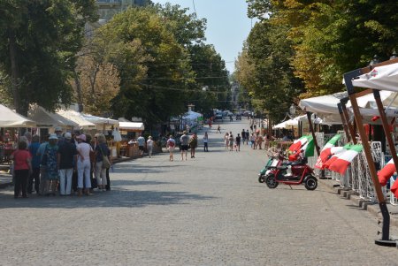 В центре Одессы больше не эксплуатируют животных (фоторепортаж)