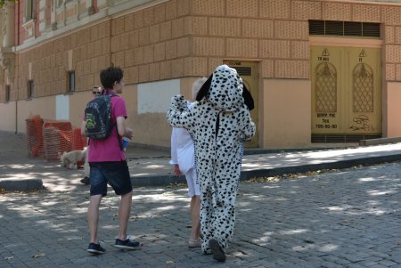 В центре Одессы больше не эксплуатируют животных (фоторепортаж)