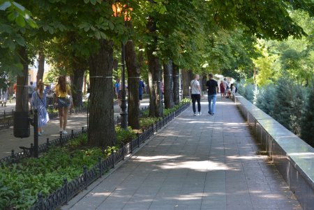 В центре Одессы больше не эксплуатируют животных (фоторепортаж)