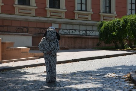 В центре Одессы больше не эксплуатируют животных (фоторепортаж)