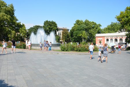 В центре Одессы больше не эксплуатируют животных (фоторепортаж)
