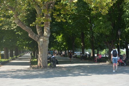 В центре Одессы больше не эксплуатируют животных (фоторепортаж)