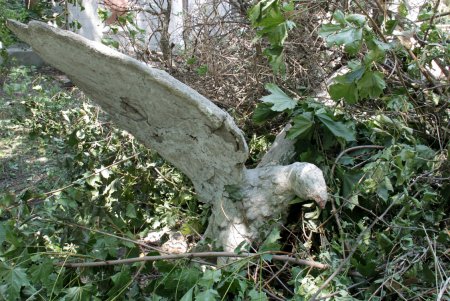 «Замок Монстров»: волонтеры привели в порядок территорию дачи Анатры (фоторепортаж)