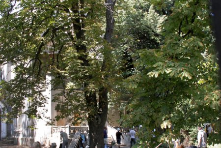 «Замок Монстров»: волонтеры привели в порядок территорию дачи Анатры (фоторепортаж)