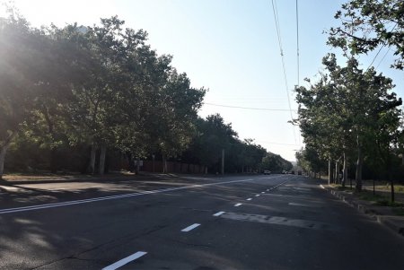 Коммунальщики обновили дорожную разметку на Химической (фото)