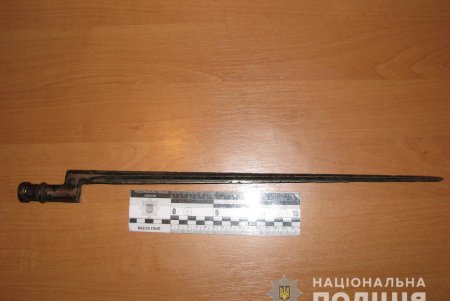 Пожилой житель Подольска попросил у полицейских защиты из-за издевательств сына (фото)