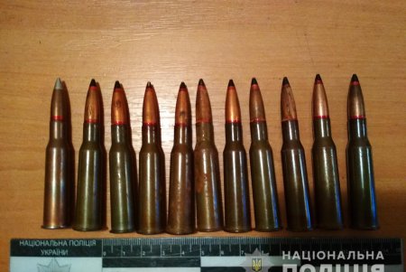 Пожилой житель Подольска попросил у полицейских защиты из-за издевательств сына (фото)