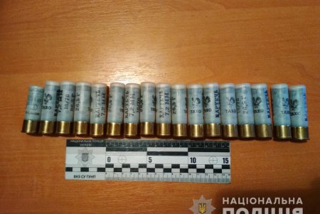 Пожилой житель Подольска попросил у полицейских защиты из-за издевательств сына (фото)