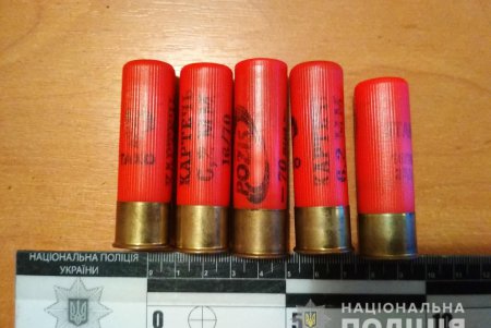 Пожилой житель Подольска попросил у полицейских защиты из-за издевательств сына (фото)