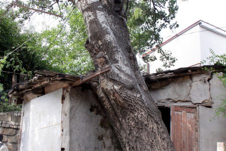 Колоритные дворики: прогулка по спуску Маринеско (фоторепортаж)