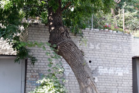 Колоритные дворики: прогулка по спуску Маринеско (фоторепортаж)