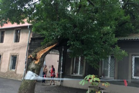Последствия ливня и шквального ветра устраняют в Одессе (фото)