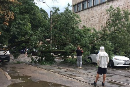 Последствия ливня и шквального ветра устраняют в Одессе (фото)