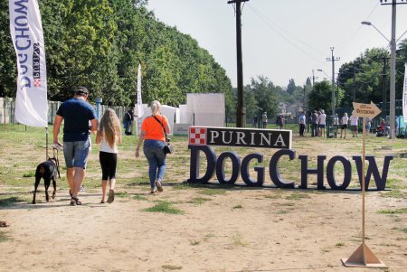 Спортивный чемпионат для собак Dog Puller (фоторепортаж)