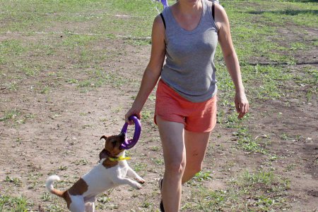 Спортивный чемпионат для собак Dog Puller (фоторепортаж)