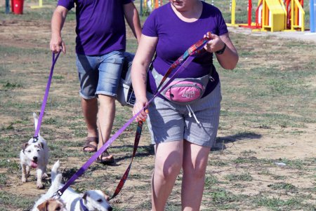 Спортивный чемпионат для собак Dog Puller (фоторепортаж)