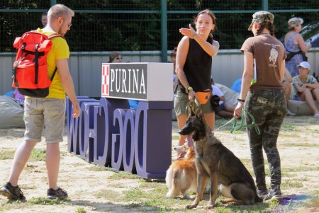 Спортивный чемпионат для собак Dog Puller (фоторепортаж)