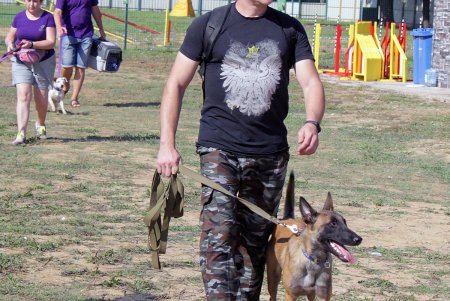 Спортивный чемпионат для собак Dog Puller (фоторепортаж)