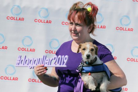 Спортивный чемпионат для собак Dog Puller (фоторепортаж)