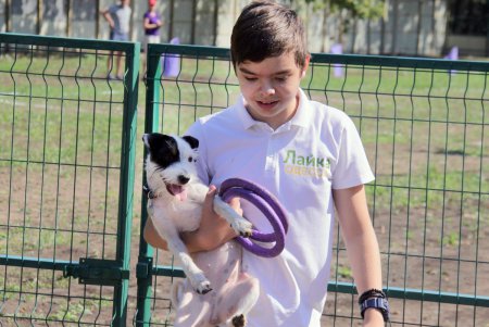 Спортивный чемпионат для собак Dog Puller (фоторепортаж)