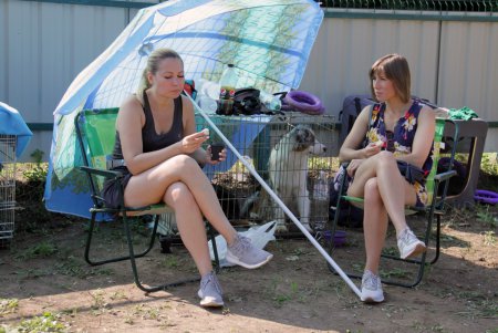 Спортивный чемпионат для собак Dog Puller (фоторепортаж)