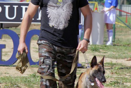 Спортивный чемпионат для собак Dog Puller (фоторепортаж)