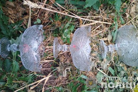 В Любашевке несовершеннолетние вынесли из дома соседки бытовую технику и посуду (фото)