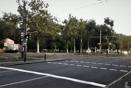 Возле университетов и школ освежили дорожную разметку (фото)