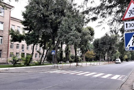 Освежили дорожную разметку возле Приморского и Ланжероновского лицеев  (фото)