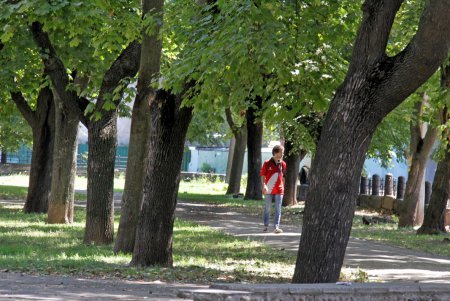 Прогулка по Алексеевскому скверу (фоторепортаж)