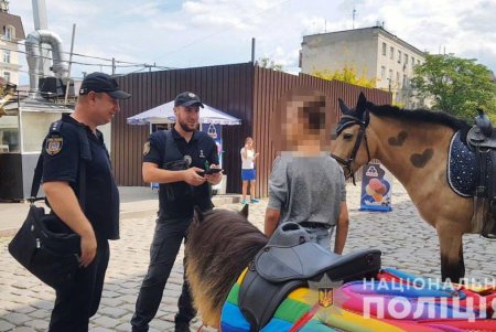На Дерибасовской на нарушителей составили админпротоколы за незаконную эксплуатацию лошадей (фото)