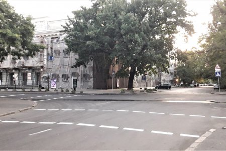 Обновлена разметка возле школ в центральной части города (фото)