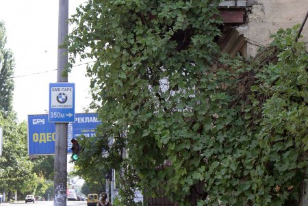 Прогулка по одной из самых известных улиц Одессы – Мясоедовской (фоторепортаж)