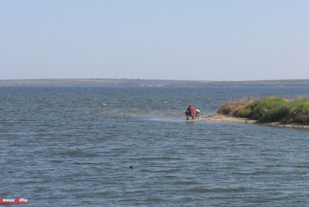 После соединения с морем Тилигульский лиман постепенно оживает (фото)