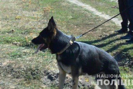 Обиделся на племянника и нанес ему ножевые ранения: правоохранители задержали жителя области (фото, видео) 
