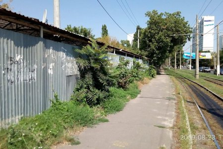 Предприниматели устраняют нарушения Правил благоустройства города (фото)