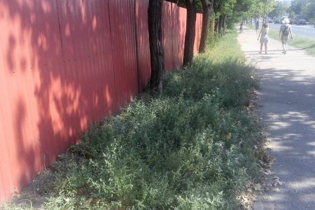 Предприниматели устраняют нарушения Правил благоустройства города (фото)