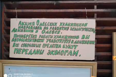 Художники организовали выставку на Ланжероне, чтобы привлечь внимание к проблемам экологии (фото)