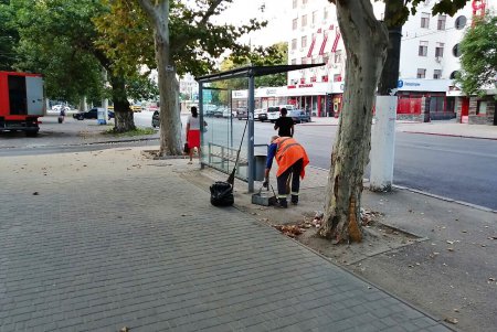 В День города более 400 коммунальщиков наводили порядок на улицах и в парках (фото)
