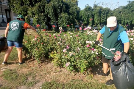 В День города более 400 коммунальщиков наводили порядок на улицах и в парках (фото)