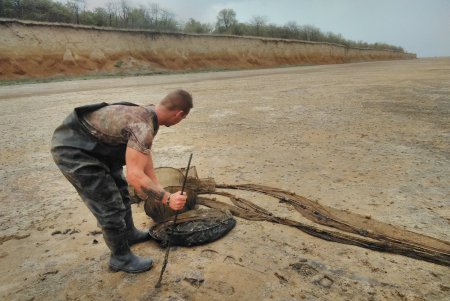 В Тузловских лиманах отобрали у браконьеров и выпустили в воду более 150 кг креветок (фото)