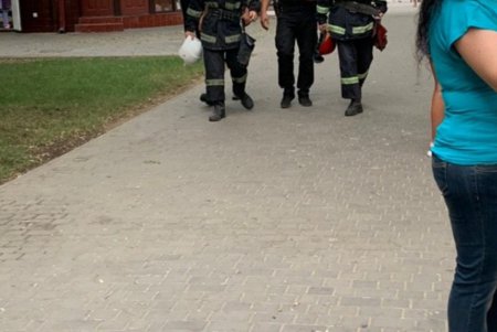 В Измаиле всем миром снимали с дерева местного Тарзана (фото) 