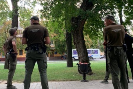 В Измаиле всем миром снимали с дерева местного Тарзана (фото) 