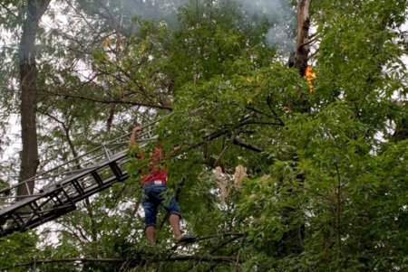 В Измаиле всем миром снимали с дерева местного Тарзана (фото) 