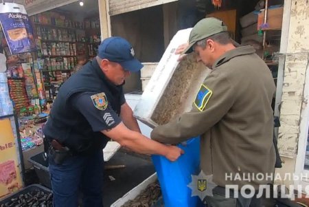 На «Привозе» провели рейд: изъято более двухсот килограммов рыбы, раков и мидий (фото, видео)