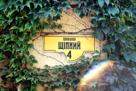 Дом с плющом: зеленое украшение среди желтеющих листьев (фоторепортаж) 