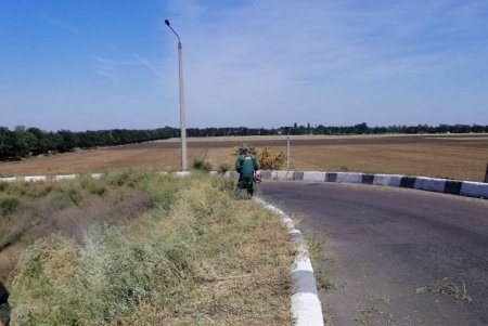 Коммунальщики приводят в порядок въезды в город (фото)